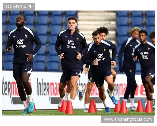 世界杯欧洲区预选赛法国队高卢